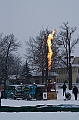 Elk_zima_2012_076