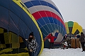 Elk_zima_2012_082