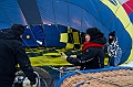 Elk_zima_2012_083