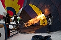 Elk_zima_2012_084