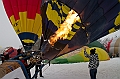 Elk_zima_2012_085