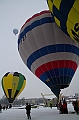 Elk_zima_2012_087