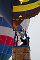 Elk_zima_2012_088