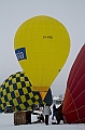Elk_zima_2012_091