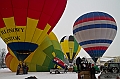 Elk_zima_2012_092