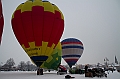 Elk_zima_2012_093
