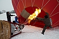 Elk_zima_2012_094