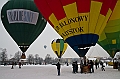 Elk_zima_2012_095