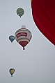 Elk_zima_2012_098