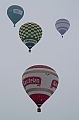 Elk_zima_2012_099