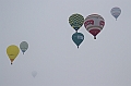 Elk_zima_2012_100