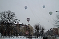 Elk_zima_2012_103