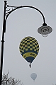 Elk_zima_2012_106