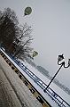 Elk_zima_2012_107