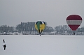 Elk_zima_2012_108