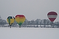 Elk_zima_2012_109