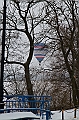 Elk_zima_2012_111