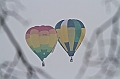 Elk_zima_2012_112