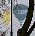 Elk_zima_2012_113