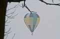 Elk_zima_2012_114