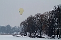 Elk_zima_2012_116