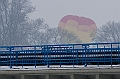 Elk_zima_2012_118