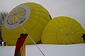 Elk_zima_2012_123