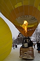 Elk_zima_2012_124