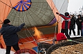 Elk_zima_2012_129