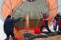 Elk_zima_2012_130