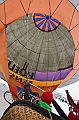 Elk_zima_2012_131