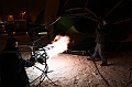 Elk_zima_2012_138
