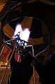 Elk_zima_2012_139