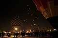 Elk_zima_2012_140
