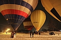 Elk_zima_2012_141