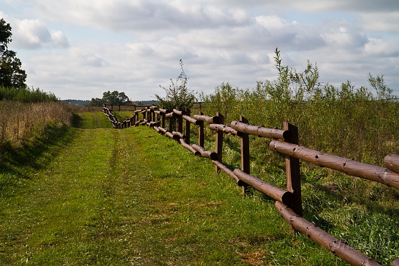 NDM_2011_005.jpg - ...