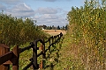 NDM_2011_001