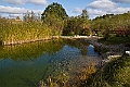NDM_2011_004