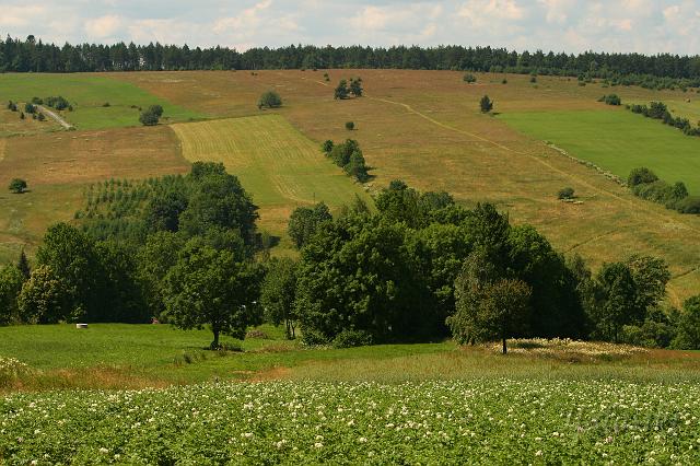 IMG_7172.JPG - Łąki nad Nowicą
