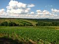 IMG_0079