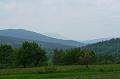 IMG_6529