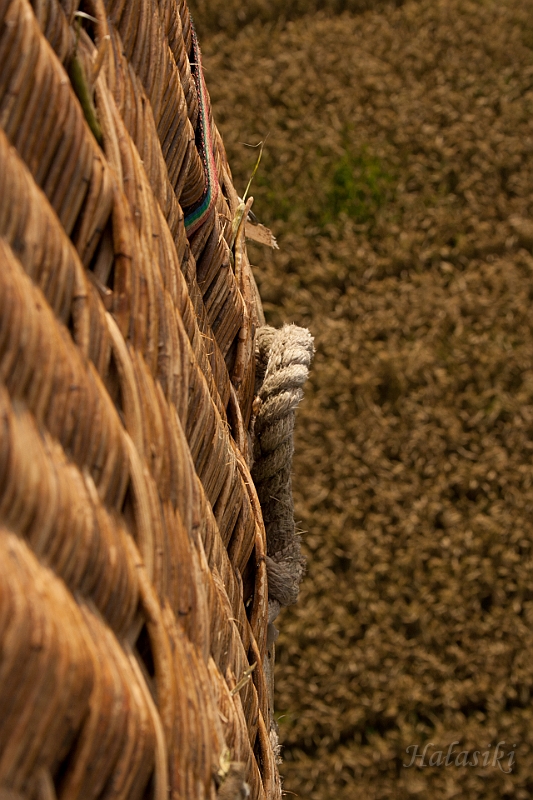 Paslek_2011_041.jpg - ...