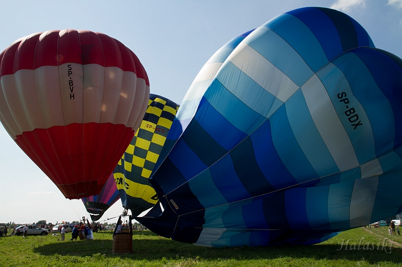 Paslek_2011_054.jpg - ...