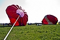 Paslek_2011_063