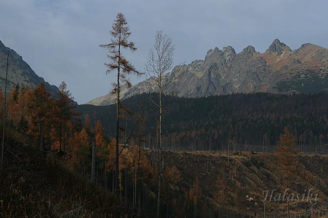 IMG_8275.JPG - Cd