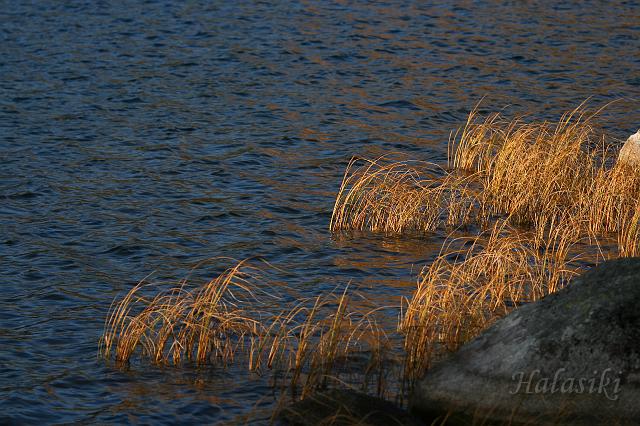 IMG_9030.JPG - Strbske pleso.