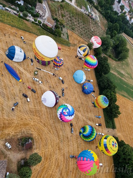 20210803_063715.jpg