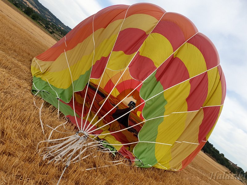 20210803_075037.jpg