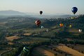 IMG_8333