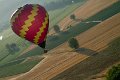 IMG_8345